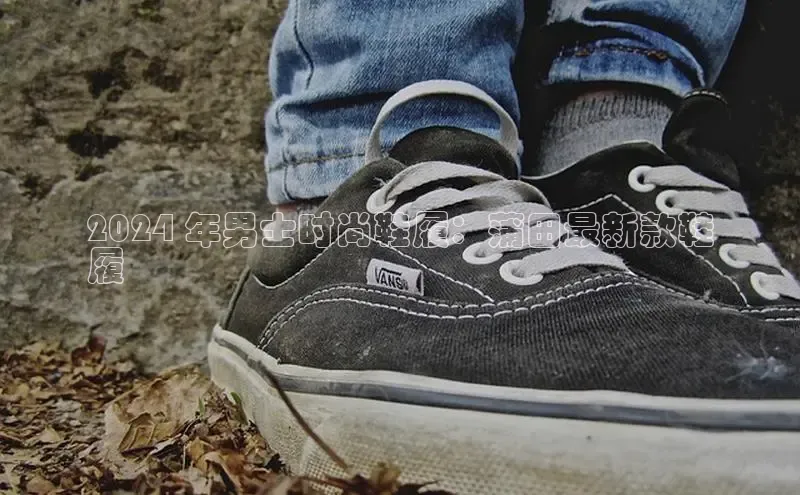 乐玩lehu唯一官网百度营销中心2024 年男士时尚鞋履：蒲田最新款鞋
履