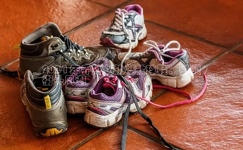 lewin乐玩每日互动2024 年乔丹女款爆款球鞋：引领
街头风潮