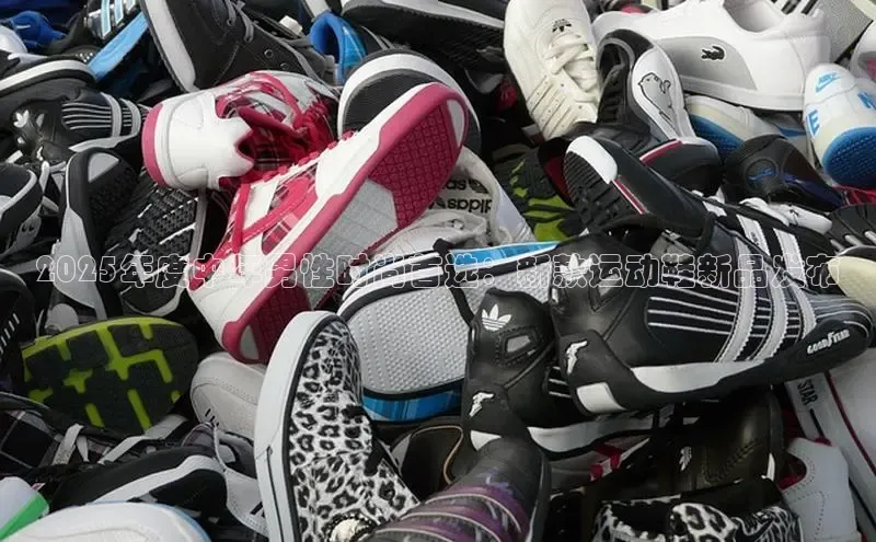 lewin乐玩百度智能云2025年度中年男性时尚首选：新款运动鞋新品发布