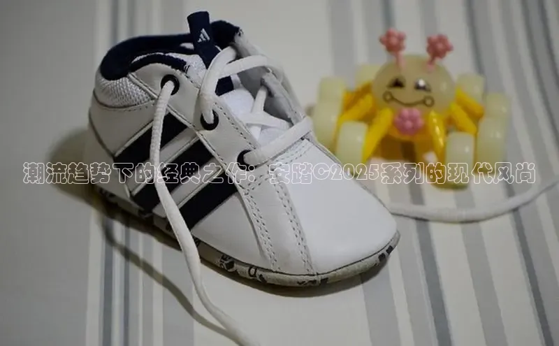 潮流趋势下的经典之作：安踏C2025系列的现代风尚