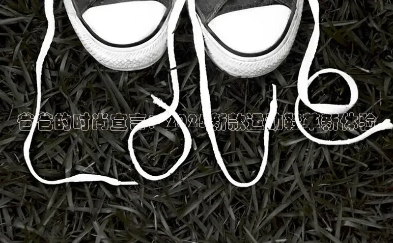 爸爸的时尚宣言：2025新款运动鞋革新体验